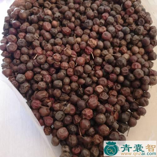中药材骨仔图片