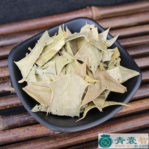 中药材骨叶图片