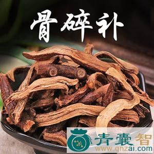 骨底搜的性状性味归经以及功效用法-青囊智