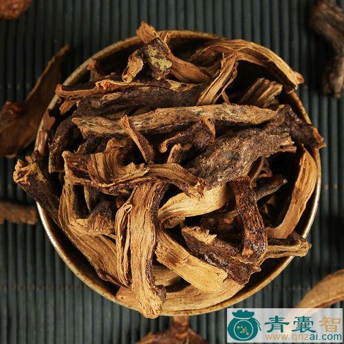 中药材骨碎补图片