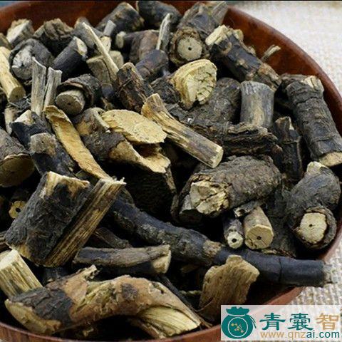 中药材骨碗藤图片