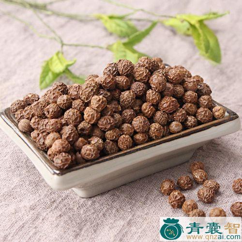 中药材高桐子图片