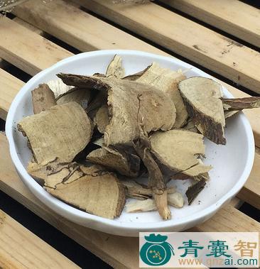 中药材高桐子根图片