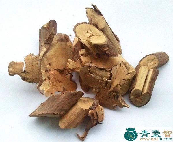 中药材高粱泡根图片