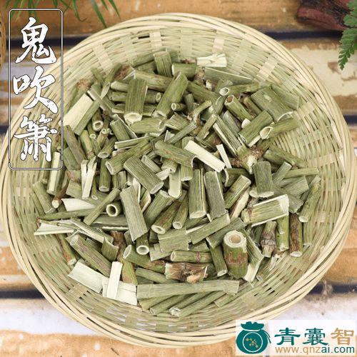 中药材鬼吹哨图片