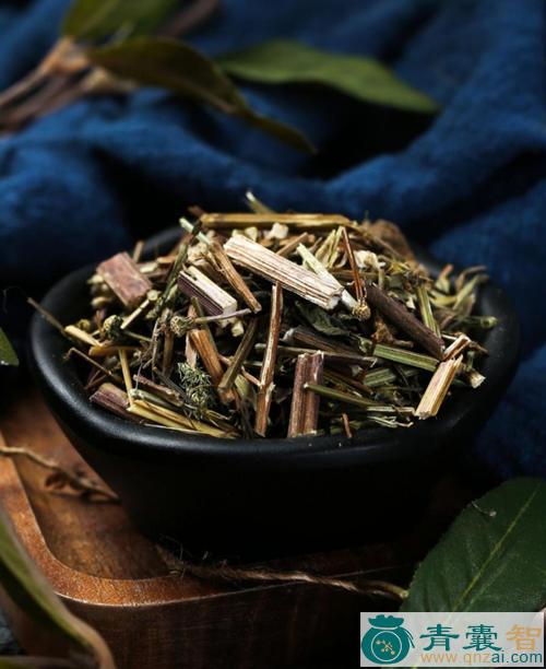 中药材鬼目草图片