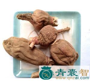 鬼髑髅的性状性味归经以及功效用法-青囊智