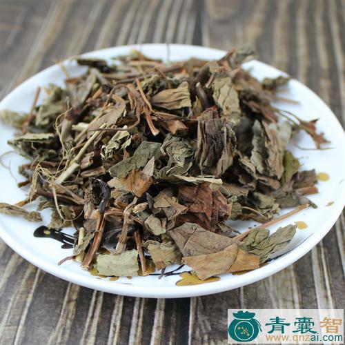 中药材鱼尾巴草图片