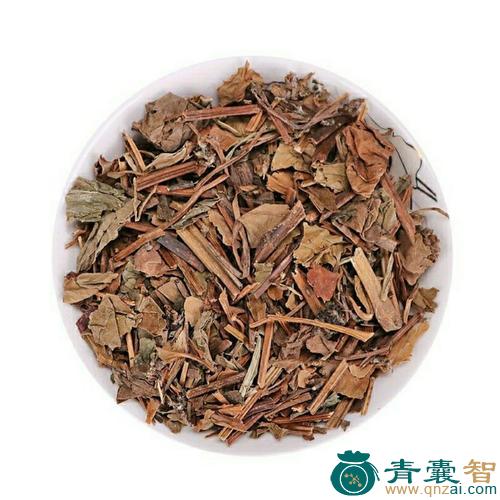 中药材鱼毙草图片