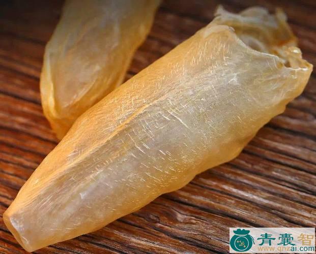 鱼白胶的以及功效用法-青囊智
