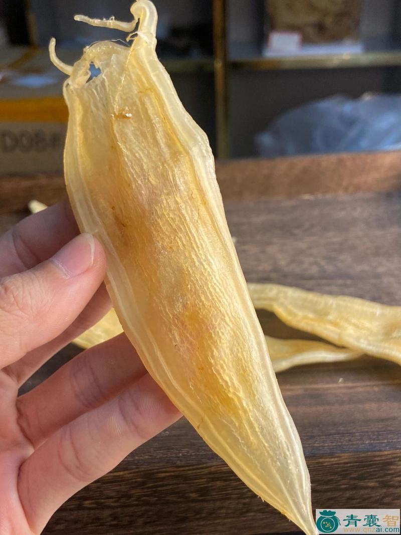 中药材鱼鲛图片