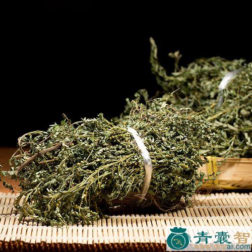 鱼鳞真珠草的性状性味归经以及功效用法和注意事项-青囊智