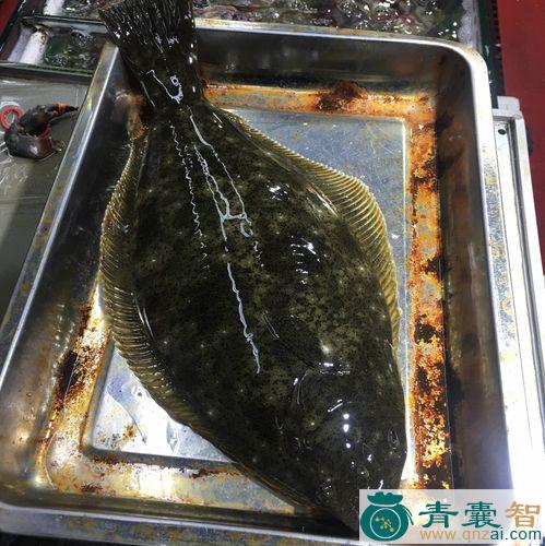 中药材鱼鸦图片