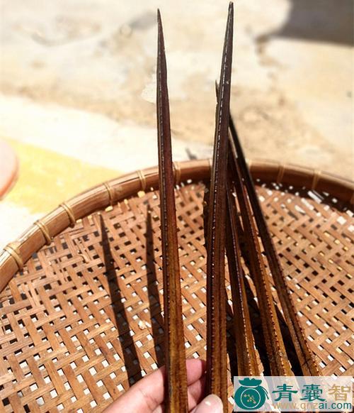 中药材鲎尾图片