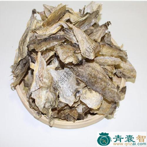 中药材鲛鱼皮图片