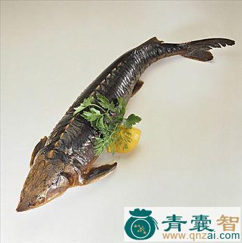 中药材鲟鱼图片