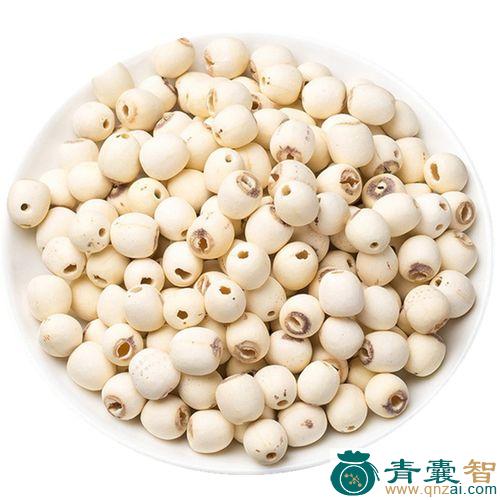 中药材鲢子图片