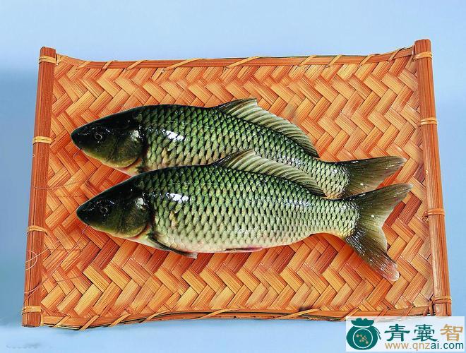 鲤的性味归经以及功效用法和注意事项-青囊智