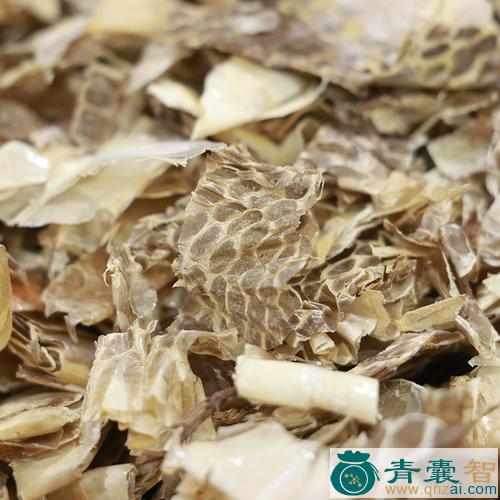 中药材鲥鱼鳞图片