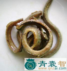 中药材鳝鱼骨图片