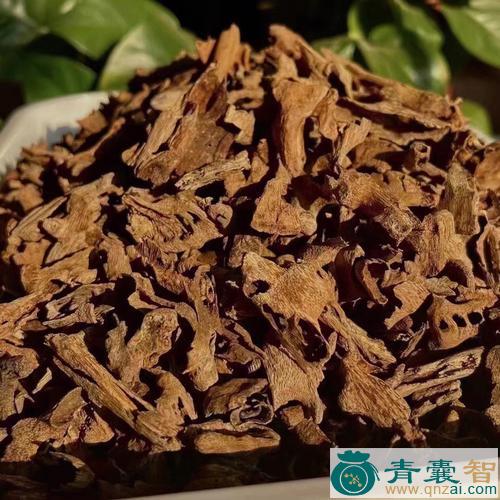 中药材鸡仔茶图片