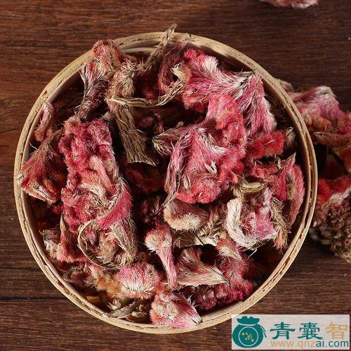 中药材鸡冠草图片