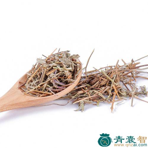 中药材鸡冠香薷图片