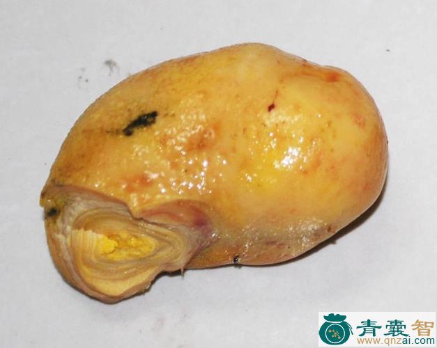 中药材鸡卵黄图片