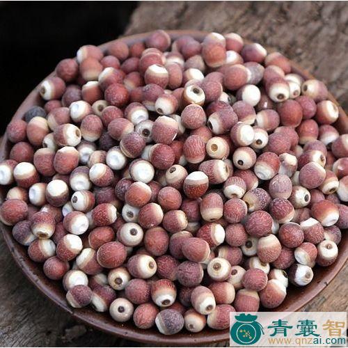 中药材鸡头实图片
