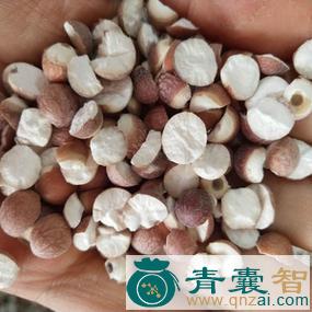 鸡头苞的性状性味归经以及功效用法和注意事项-青囊智