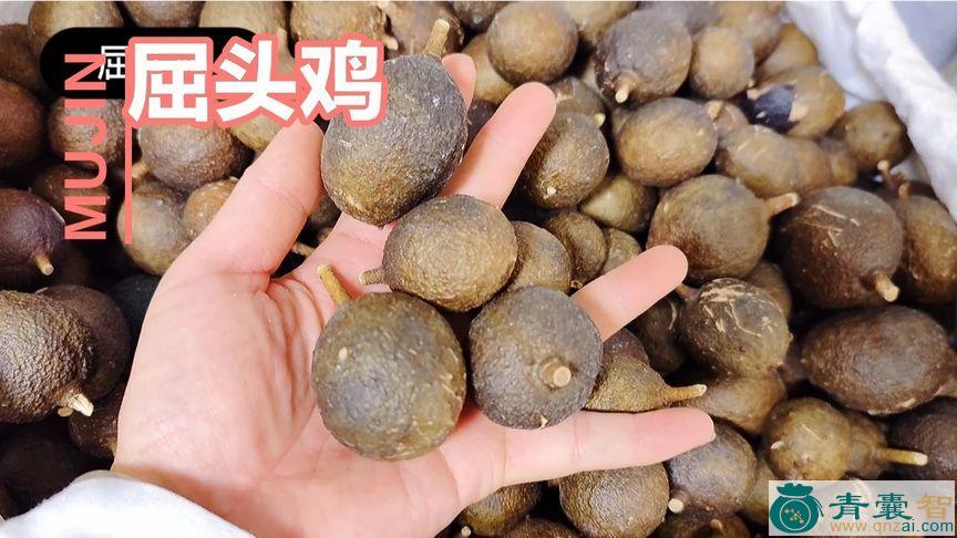 中药材鸡头鹘图片
