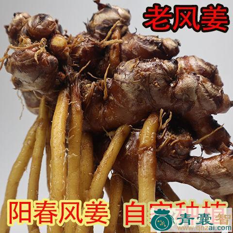 中药材鸡姜图片