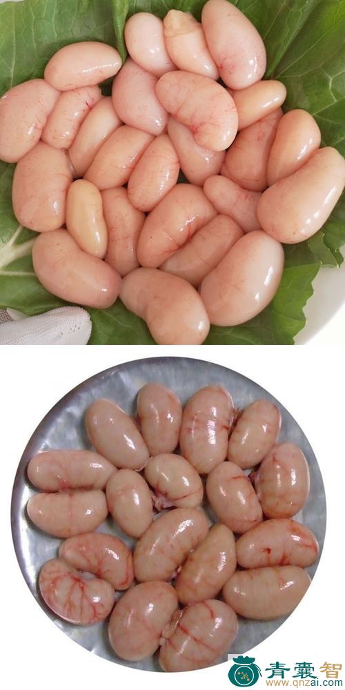 中药材鸡子樵图片
