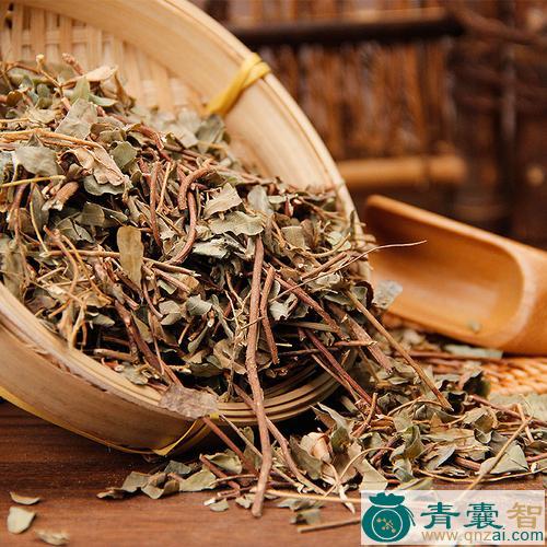中药材鸡挂骨草图片