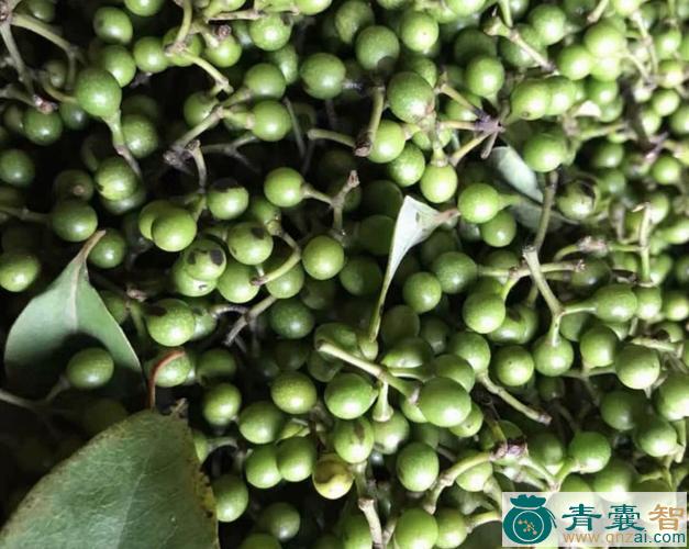 中药材鸡木椒图片