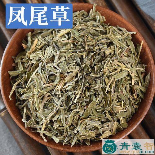 中药材鸡爪七图片