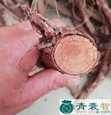 中药材鸡爪大王图片