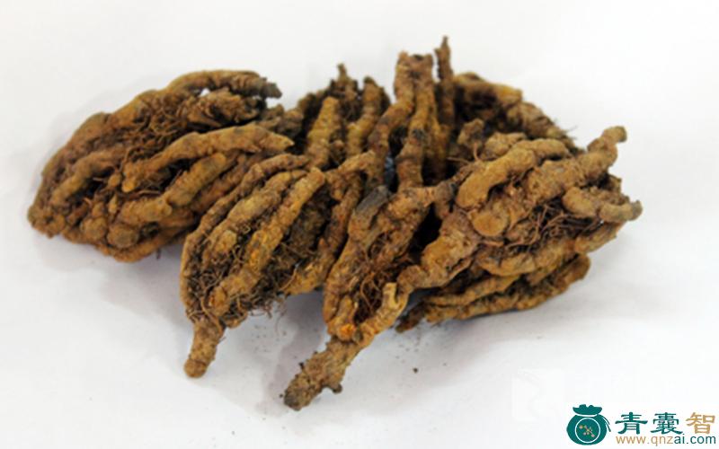 中药材鸡爪莲图片