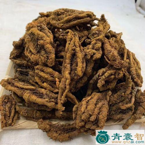 鸡爪黄连的性味归经以及功效用法和注意事项-青囊智