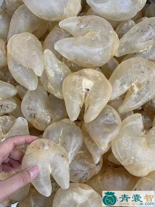 中药材鸡胶莽图片