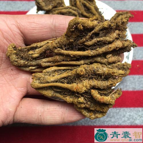 中药材鸡脚黄连图片