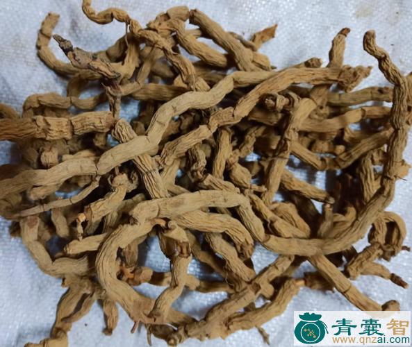 中药材鸡膝风图片