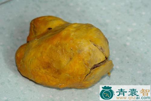 中药材鸡舌黄图片