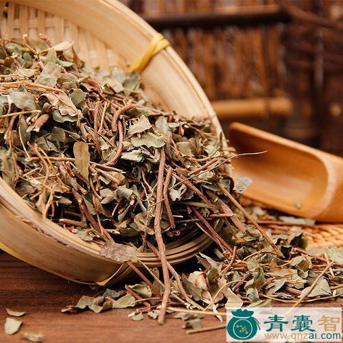 中药材鸡谷草图片