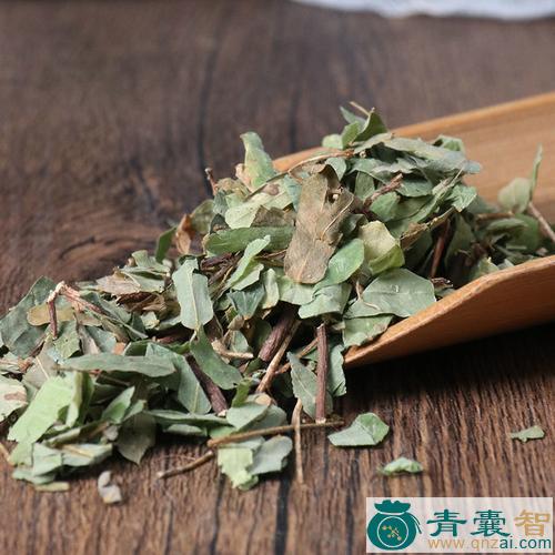 中药材鸡骨头叶图片