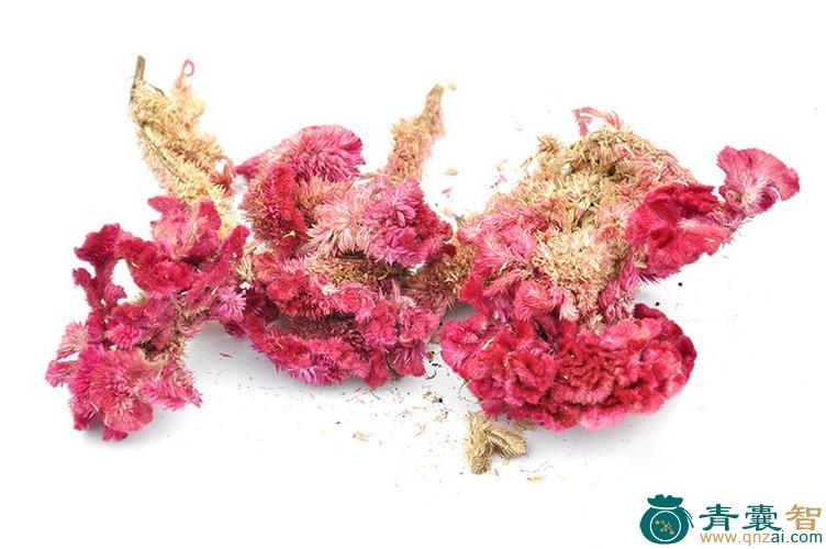 中药材鸡骨头花图片