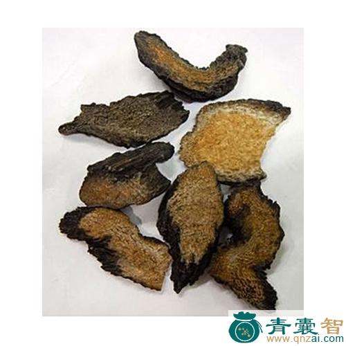鸦雀还阳的性状性味归经以及功效用法和注意事项-青囊智