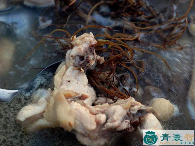 中药材鸬饲图片
