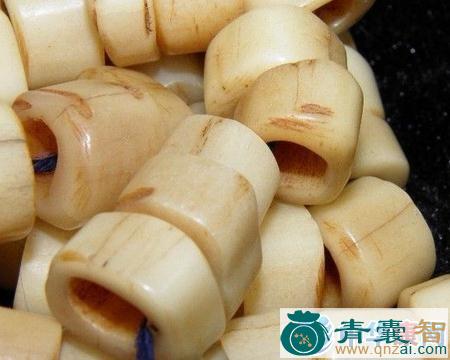 鸬鹚骨的性味归经-青囊智