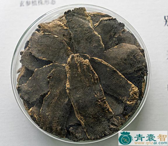中药材鸭嘴参图片